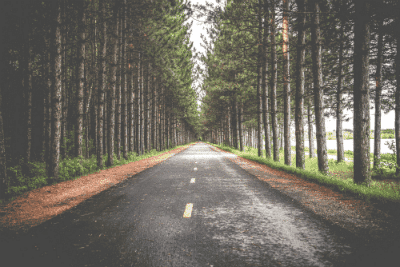 Coniq announces Lepe Partners as new investor as it closes latest round of funding