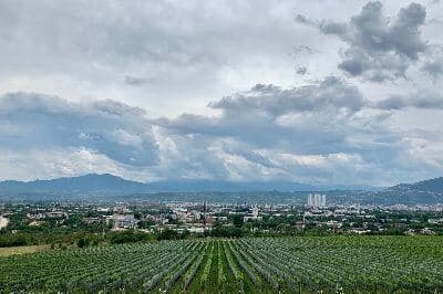 Coniq Summer Party - Macedonia