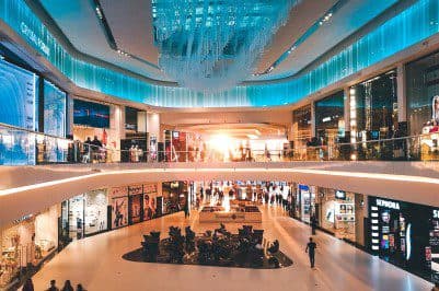 Loyalty and the Halo Effect