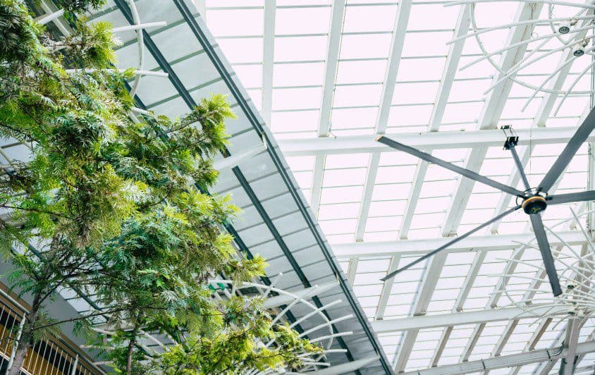 How Shopping Malls Can Leverage Green Loyalty